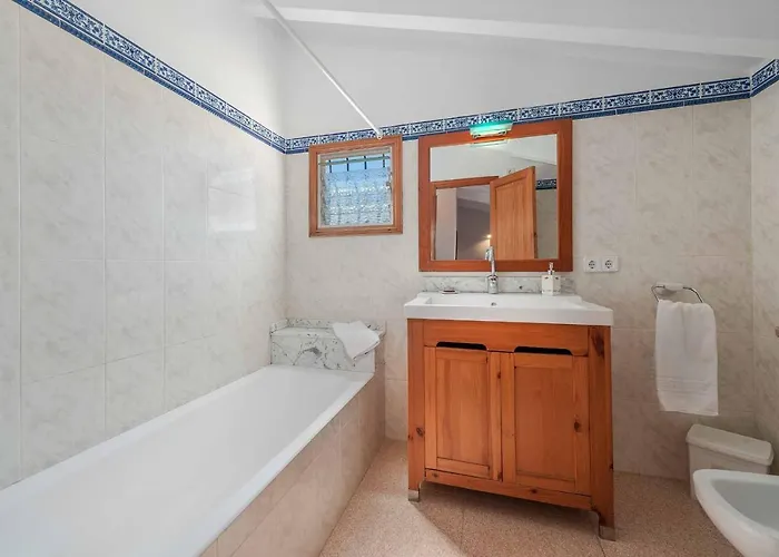 Palmera Villa Pollença